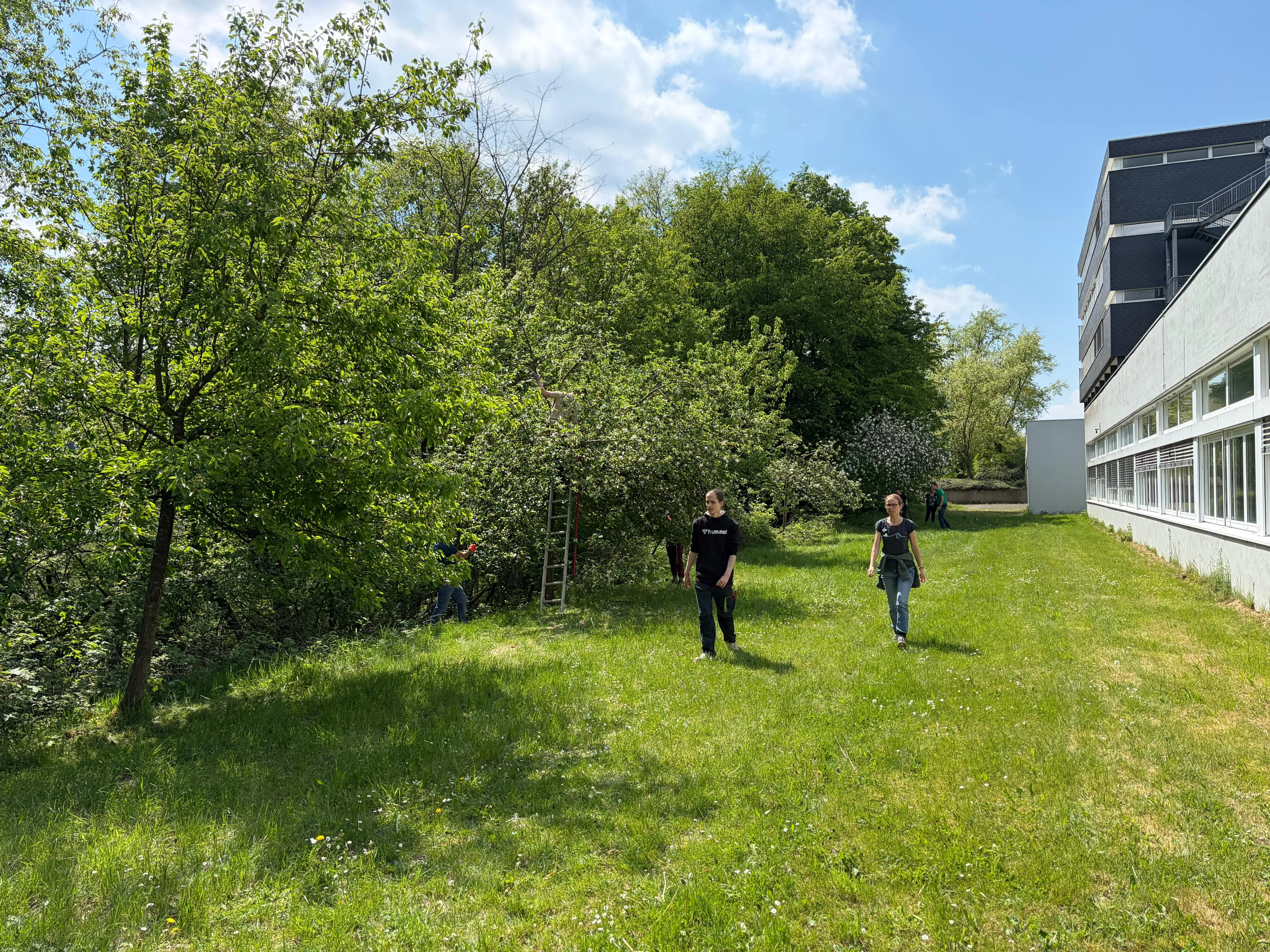 Drei Personen arbeiten auf einer grünen Wiese neben Obstbäumen, im Hintergrund ein Gebäude mit Balkonen.