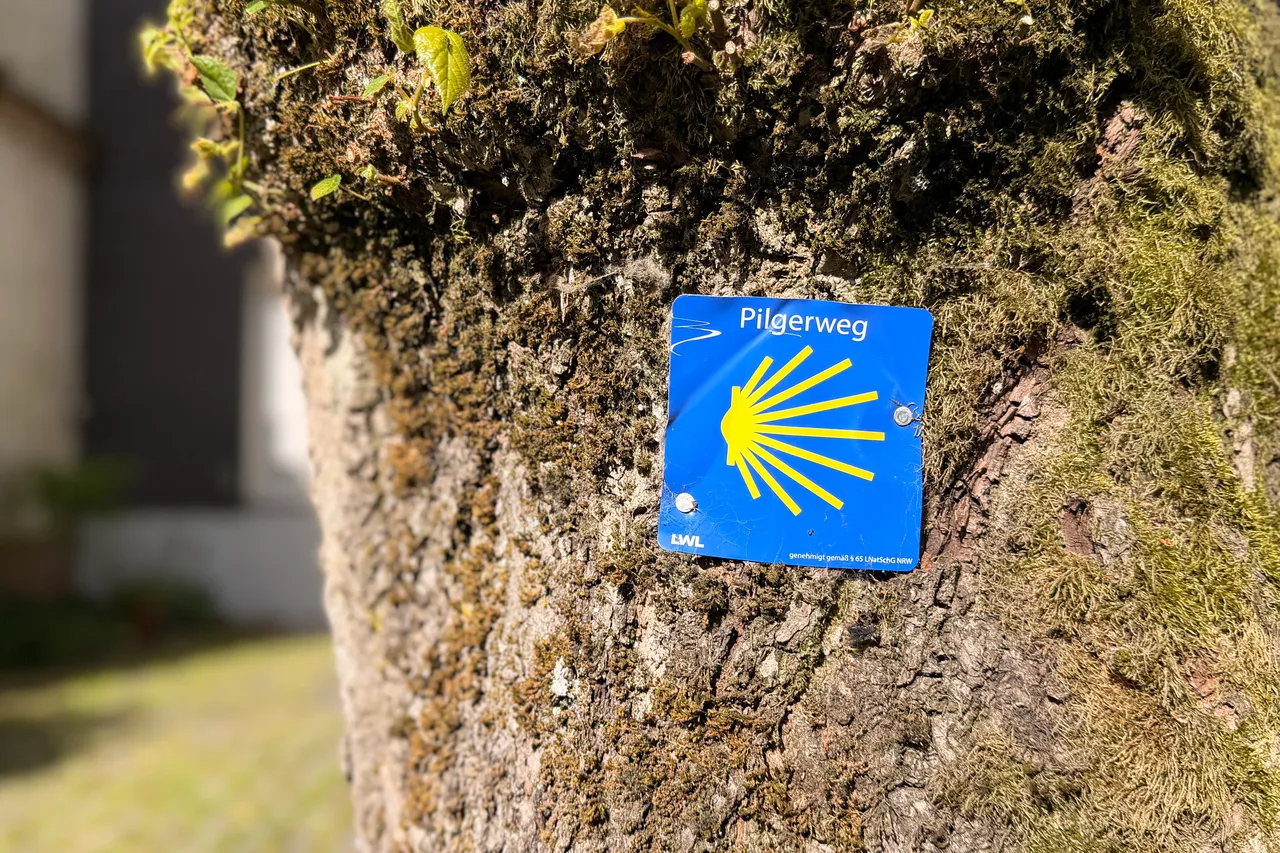 Ein blaues Schild mit einer gelben Muschel, dem Symbol des Jakobswegs, ist an einem Baumstamm befestigt. Im Hintergrund ist grünes Gras zu sehen.