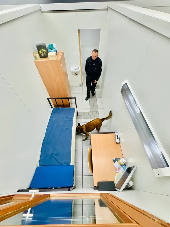 Ein Polizist steht in einem hellen Flur, während ein brauner Diensthund auf einem Tisch steht und etwas beschnuppert. Im Hintergrund ist ein Bett zu sehen.