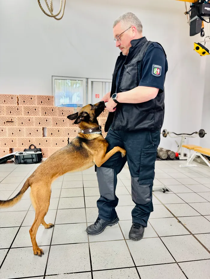 Ein Polizist in Uniform steht mit einem Schäferhund vor einer Backsteinwand. Der Hund springt hoch und berührt den Polizisten mit der Pfote an der Brust.
