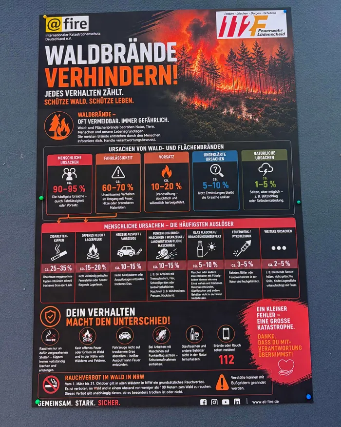 Infografik zur Waldbrandprävention zeigt die häufigsten Ursachen und deren prozentuale Verteilung, darunter menschliche Ursachen wie Zigaretten und offenes Feuer sowie natürliche Ursachen wie Blitzeinschlag.