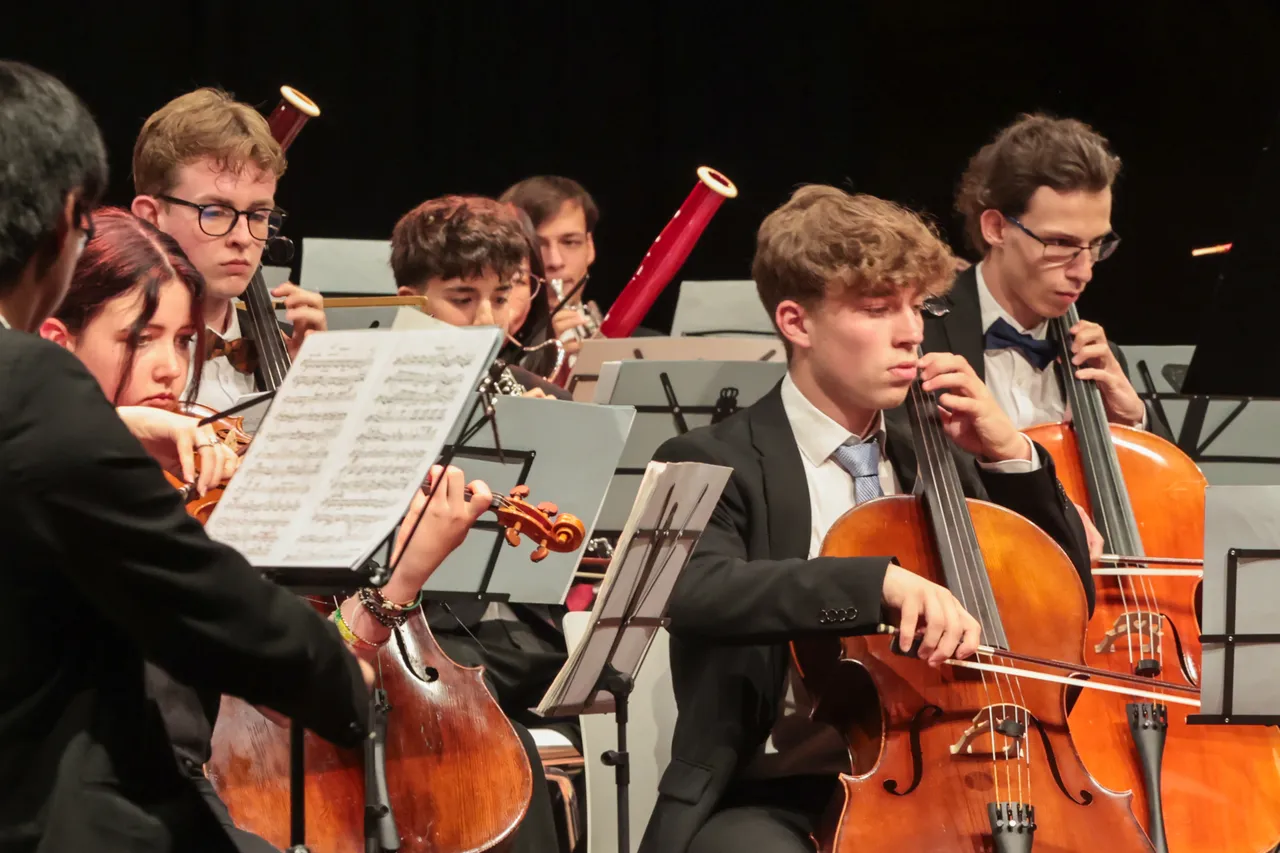Mitglieder des Märkischen Jugendsinfonieorchesters spielen Cello und Violine.