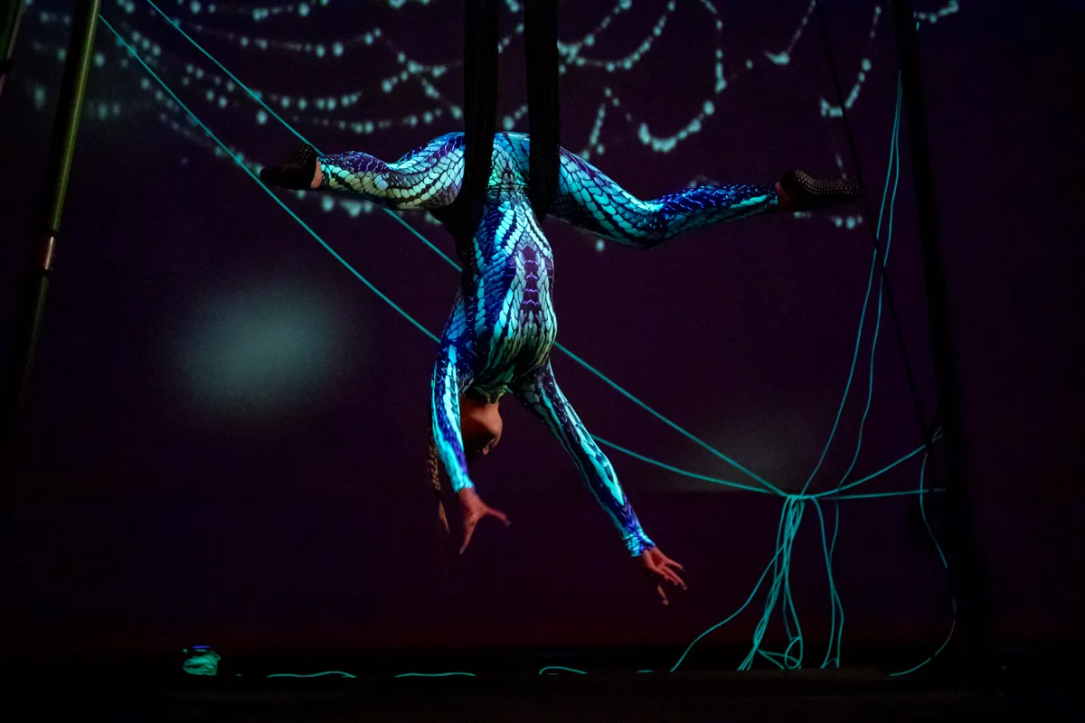 Künstlerin in blauem Ganzkörperkostüm hängt an Seilen über der Bühne, während sie eine akrobatische Übung vorführt.