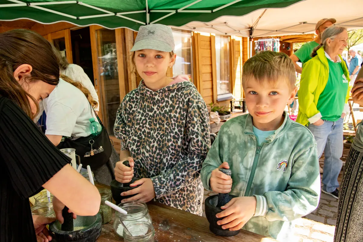 Zwei Kinder stehen an einem Tisch und bearbeiten mit Mörsern Blüten. Im Hintergrund sind weitere Besucher und ein grüner Pavillon zu sehen.