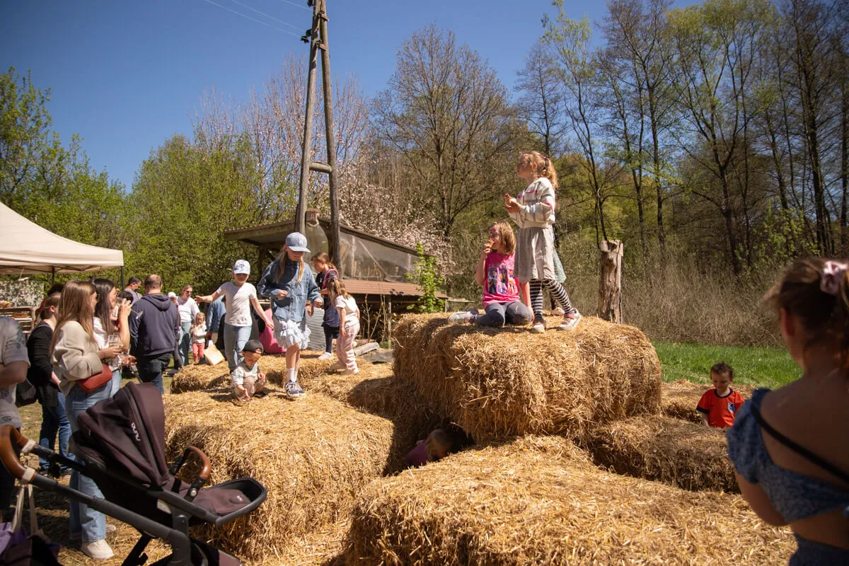 Kinder spielen auf Heuballen vor einer Menschenmenge auf dem Gelände der Heesfelder Mühle bei einem Frühlingsfest.