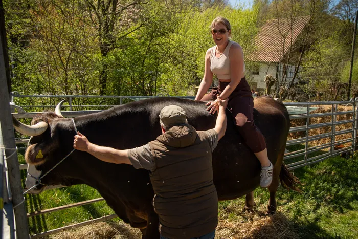 Eine Frau sitzt lachend auf dem Rücken eines dunklen Rindes, während ein Mann sie dabei unterstützt. Im Hintergrund eine ländliche Szene mit Bäumen und einem Haus.