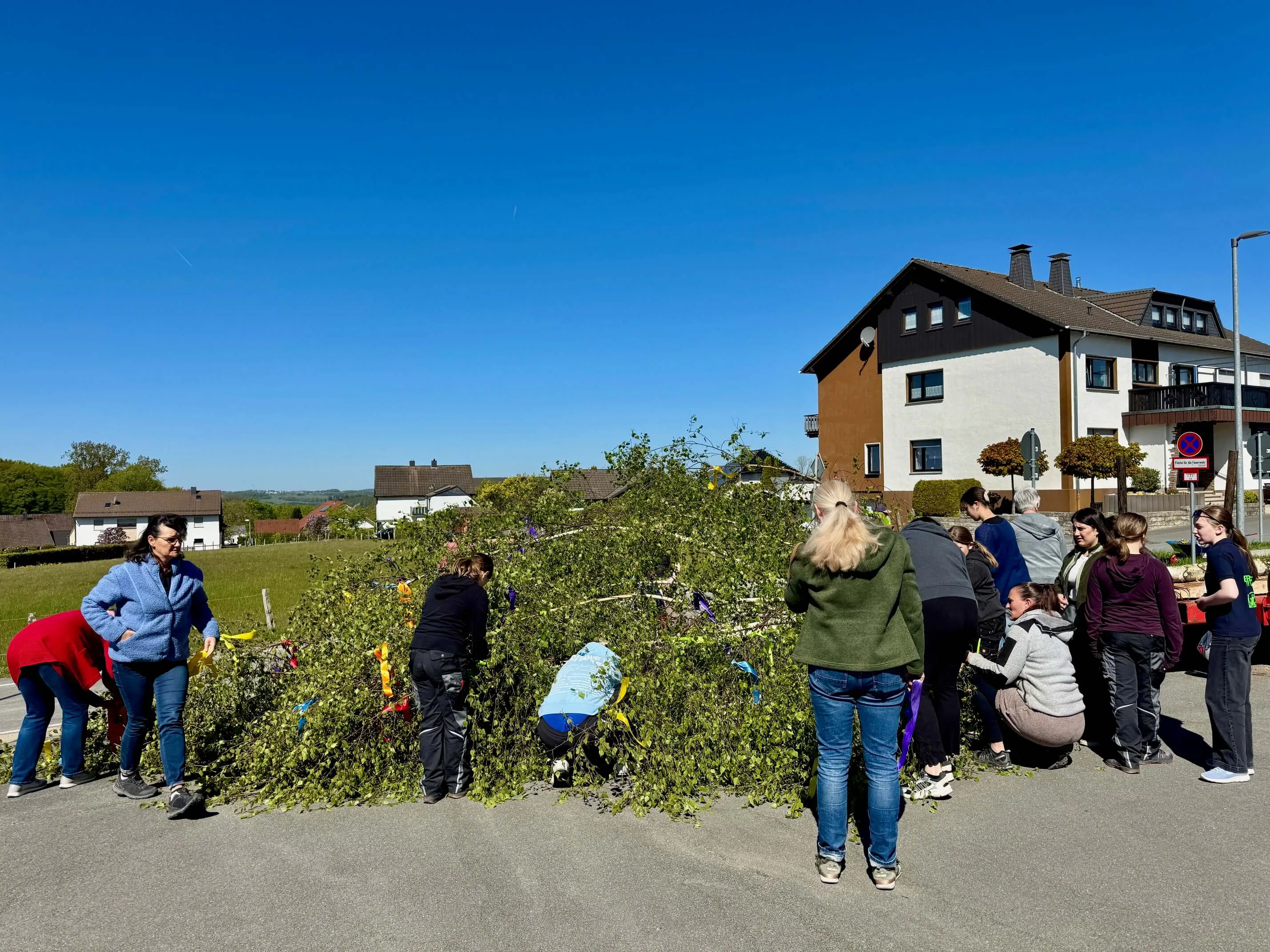 Eine Gruppe von Menschen arbeitet zusammen an einem großen, geschmückten Maibaum auf einer Straße vor Wohnhäusern.
