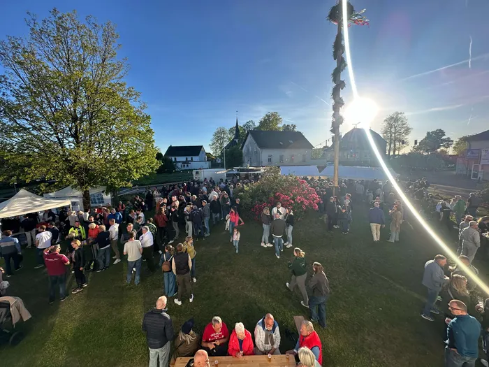 Menschen versammeln sich um einen hohen Maibaum auf einer Wiese vor Häusern und Bäumen, die Sonne scheint hell.