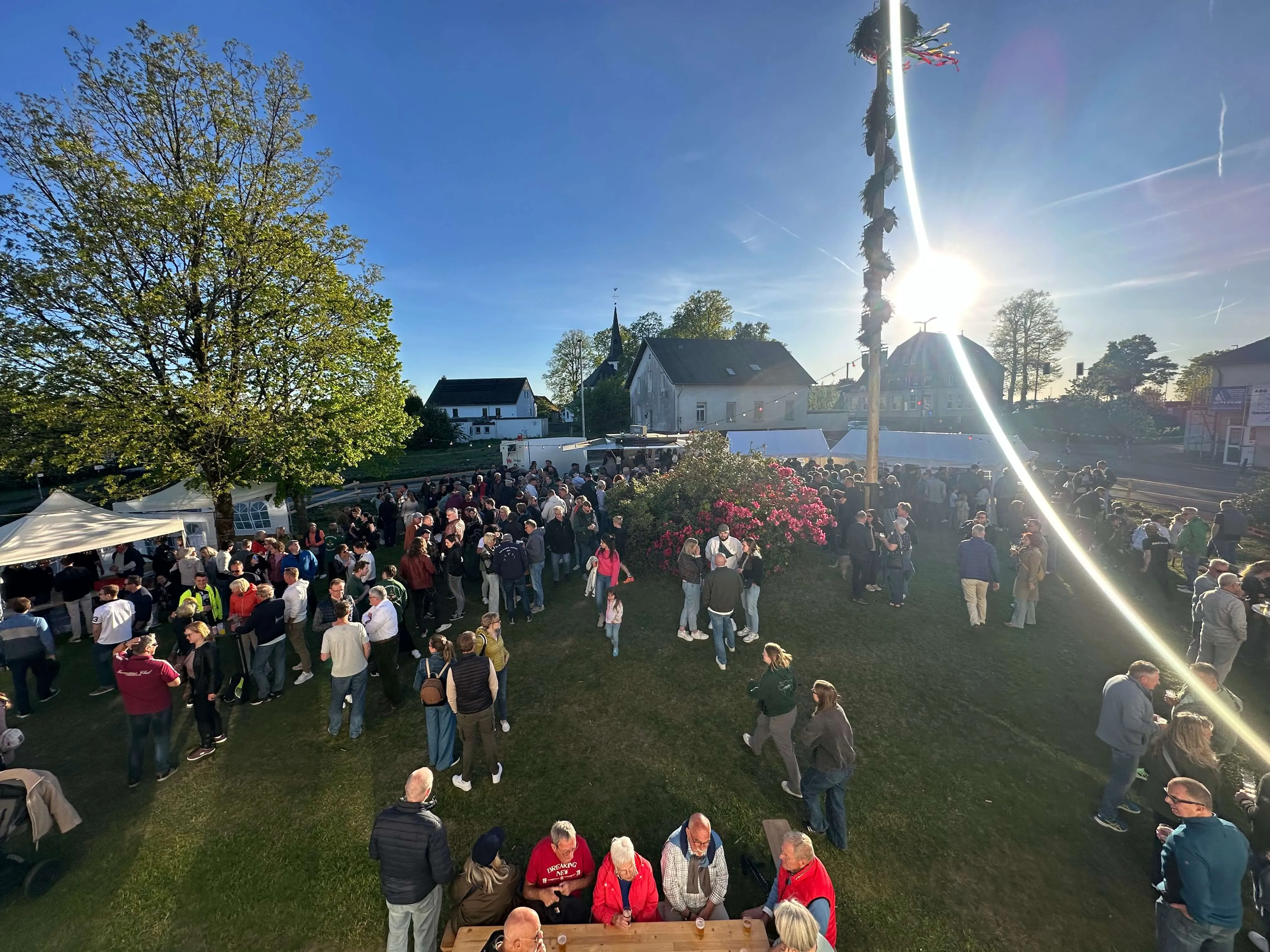 Menschen versammeln sich um einen hohen Maibaum auf einer Wiese vor Häusern und Bäumen, die Sonne scheint hell.