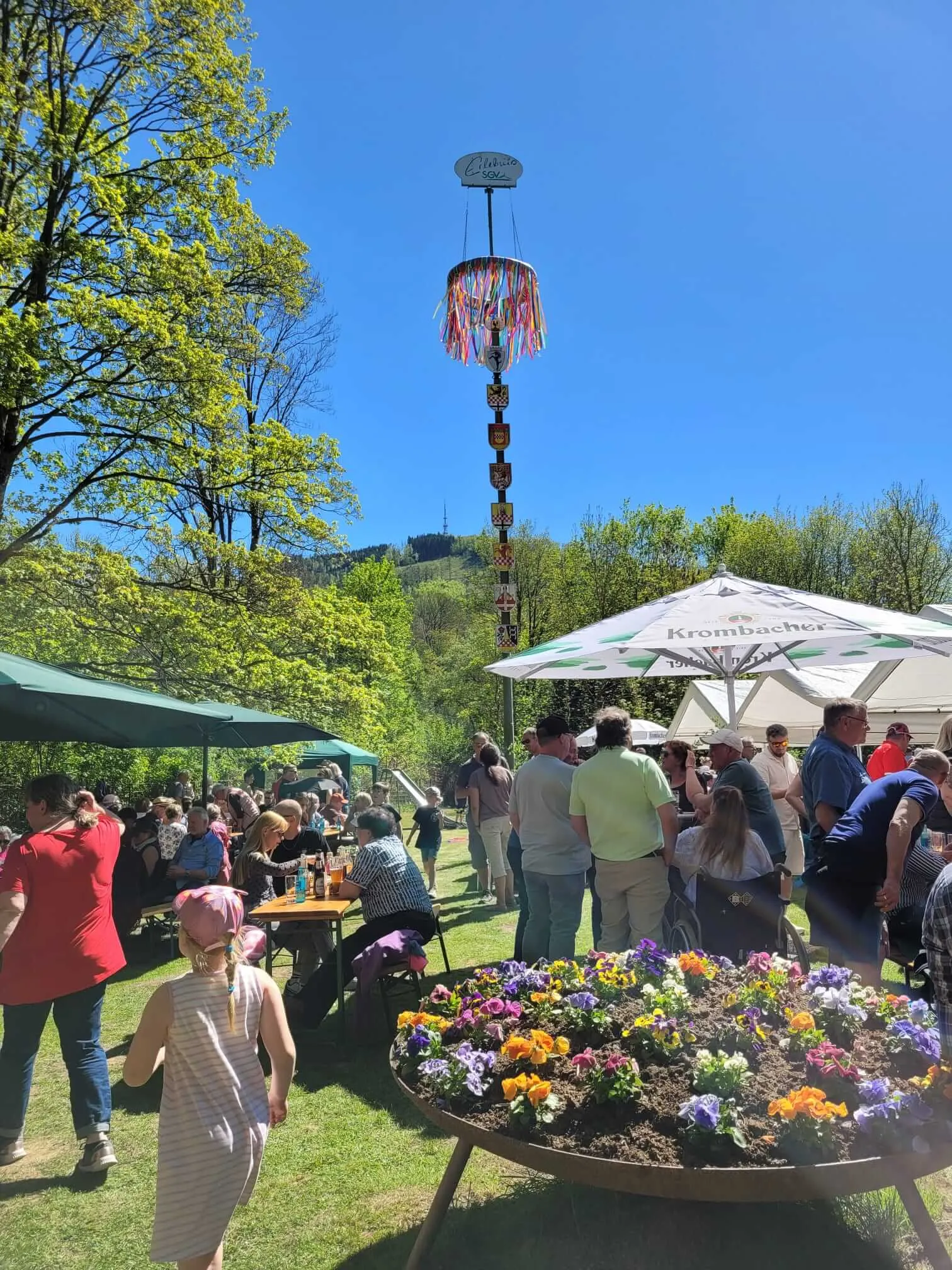 Eine Maifeier mit vielen Menschen unter einem weißen Sonnenschirm, im Hintergrund ein mit bunten Bändern geschmückter Maibaum.