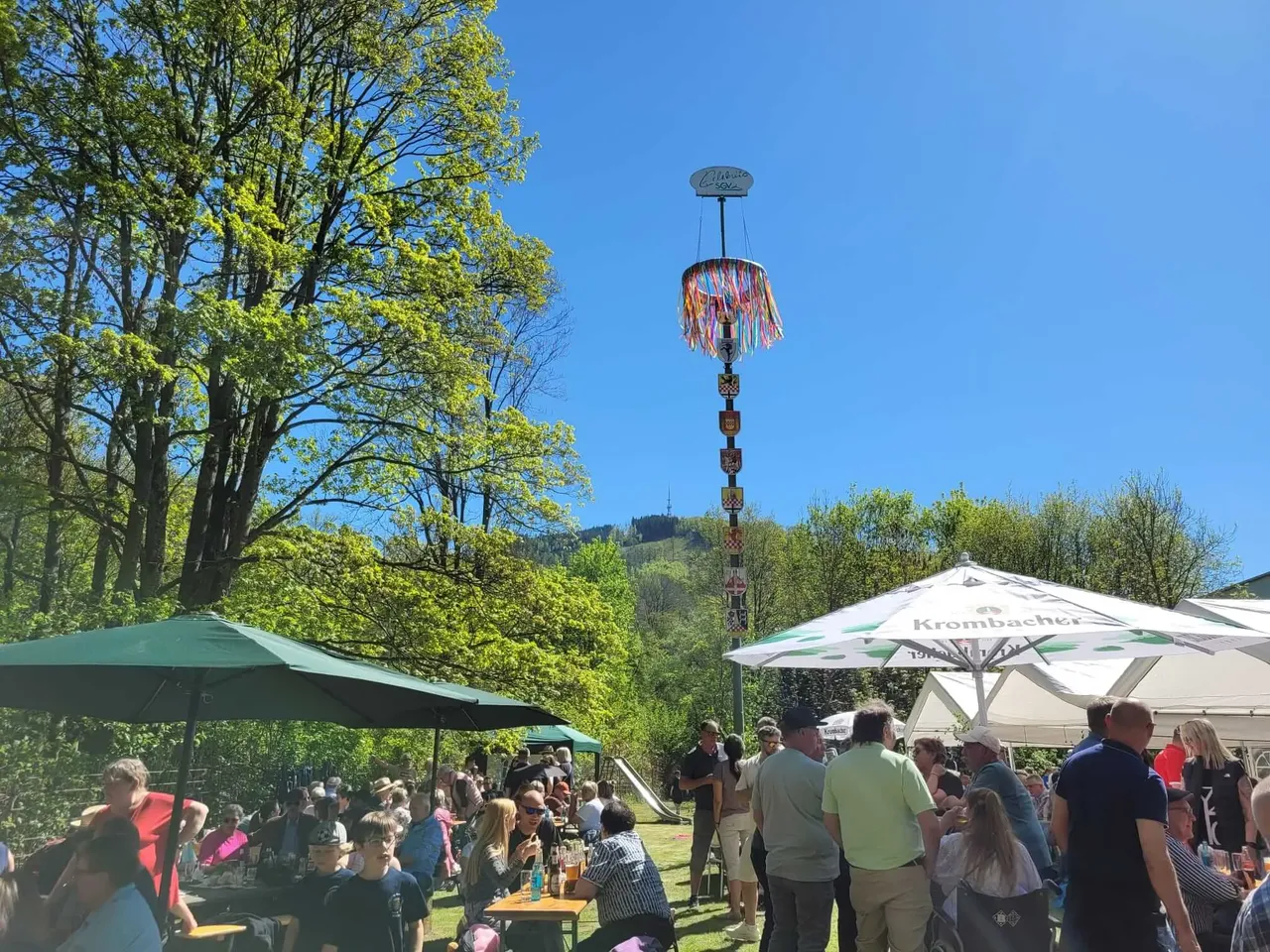 Eine Maifeier mit vielen Besuchern unter Sonnenschein. Im Hintergrund ein hoher, geschmückter Maibaum.