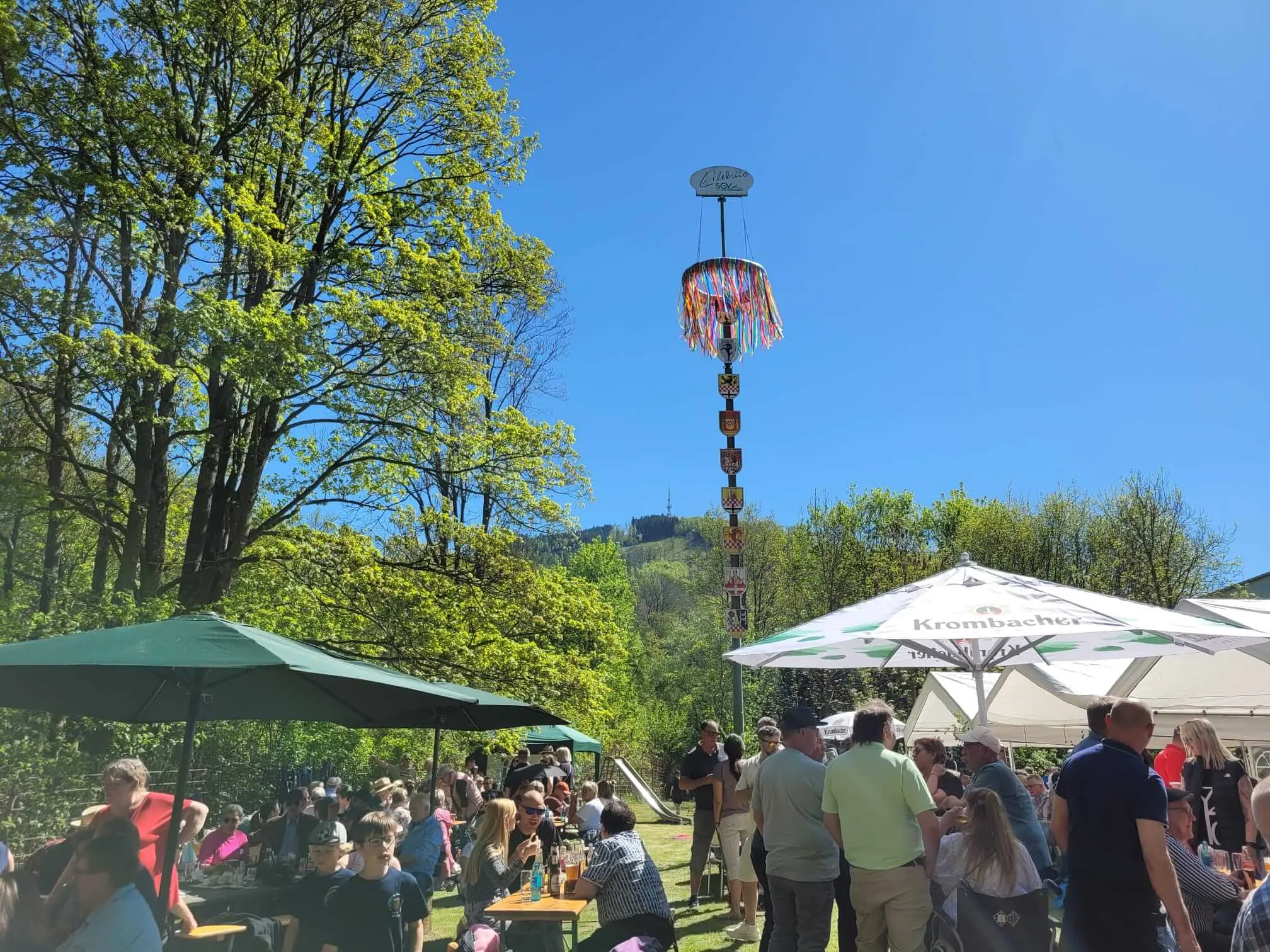 Eine Maifeier mit vielen Besuchern unter Sonnenschein. Im Hintergrund ein hoher, geschmückter Maibaum.
