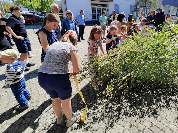 Kinder und Erwachsene binden gelbe Bänder an einen Strauch auf dem Dorfplatz von Wiblingwerde während des Maifests.