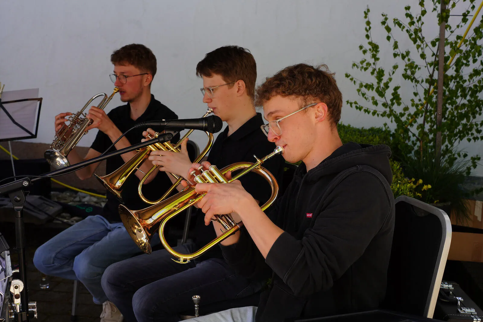 Drei junge Männer spielen Trompete und Posaune vor Mikrofonen, während sie sitzen. Im Hintergrund ein Baum mit frischem Grün.