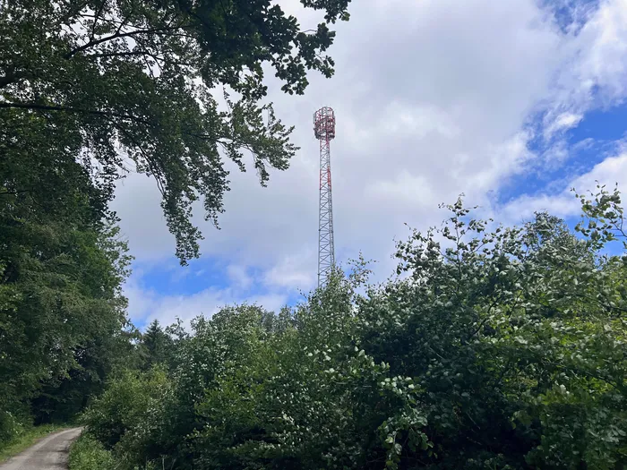 Roter und weißer Mobilfunkmast ragt über Baumwipfeln in einem Waldstück auf. Im Vordergrund ist ein Feldweg zu sehen.