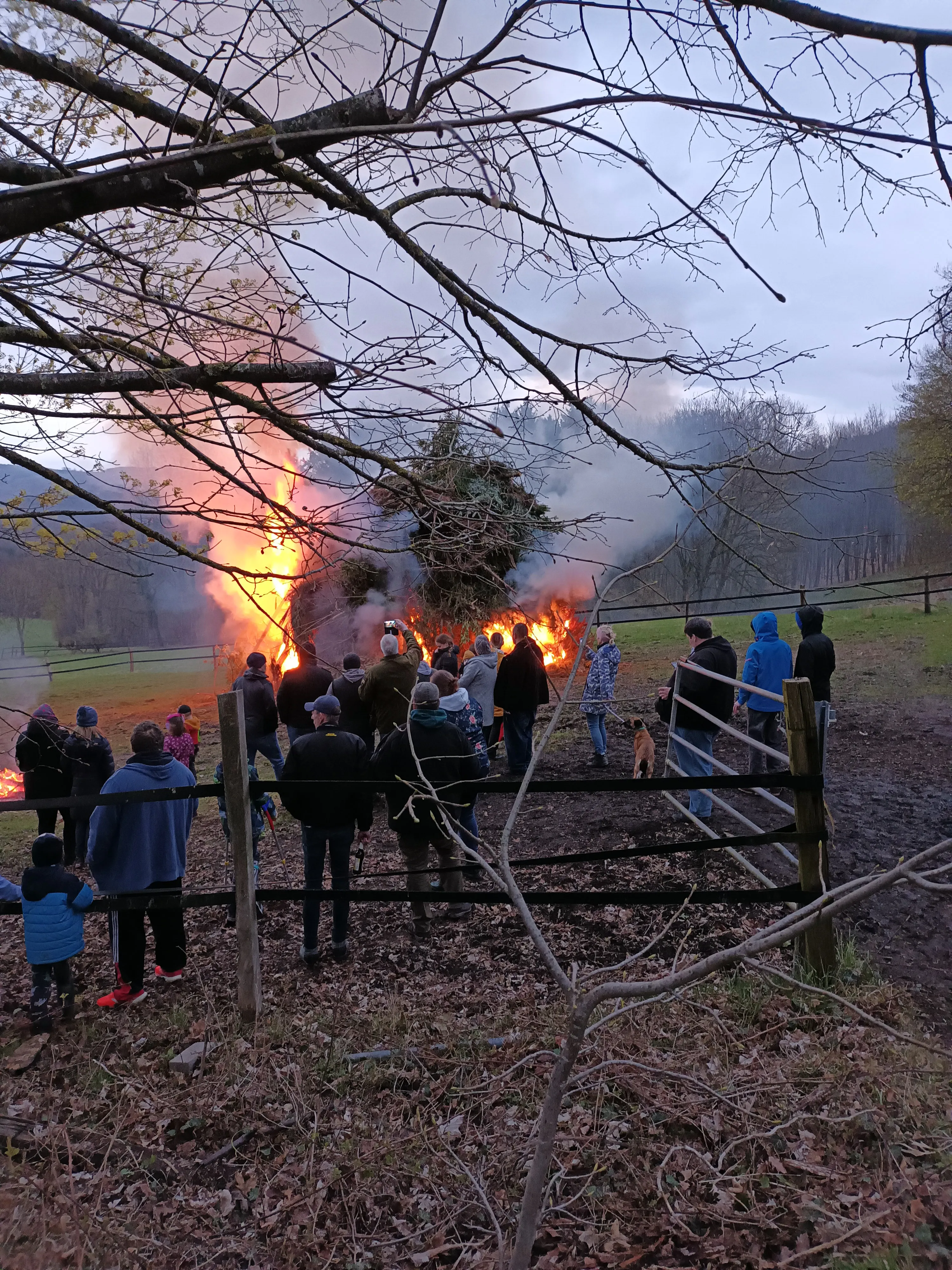 Große Menschenmenge um ein loderndes Osterfeuer auf einer Wiese, im Hintergrund bewaldete Hügel unter einem bewölkten Himmel.