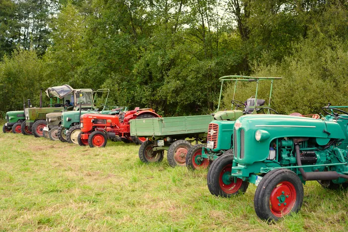 Eine Reihe verschiedenfarbiger Oldtimer-Traktoren steht auf einer Wiese vor einem Waldrand.