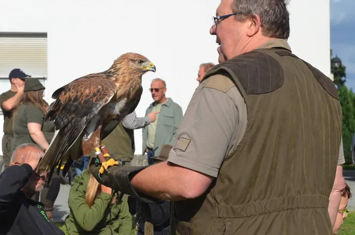 Ein Mann hält einen Greifvogel auf einem Lederhandschuh.