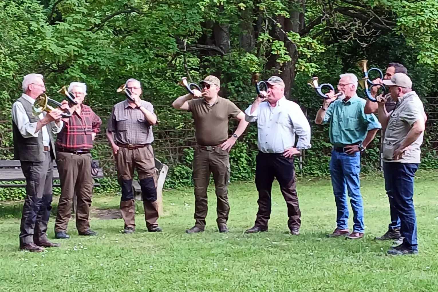 Eine Bläsergruppe spielt auf einer grünen Wiese vor Bäumen. Die Musiker, allesamt Männer mittleren Alters, spielen verschiedene Blechblasinstrumente.