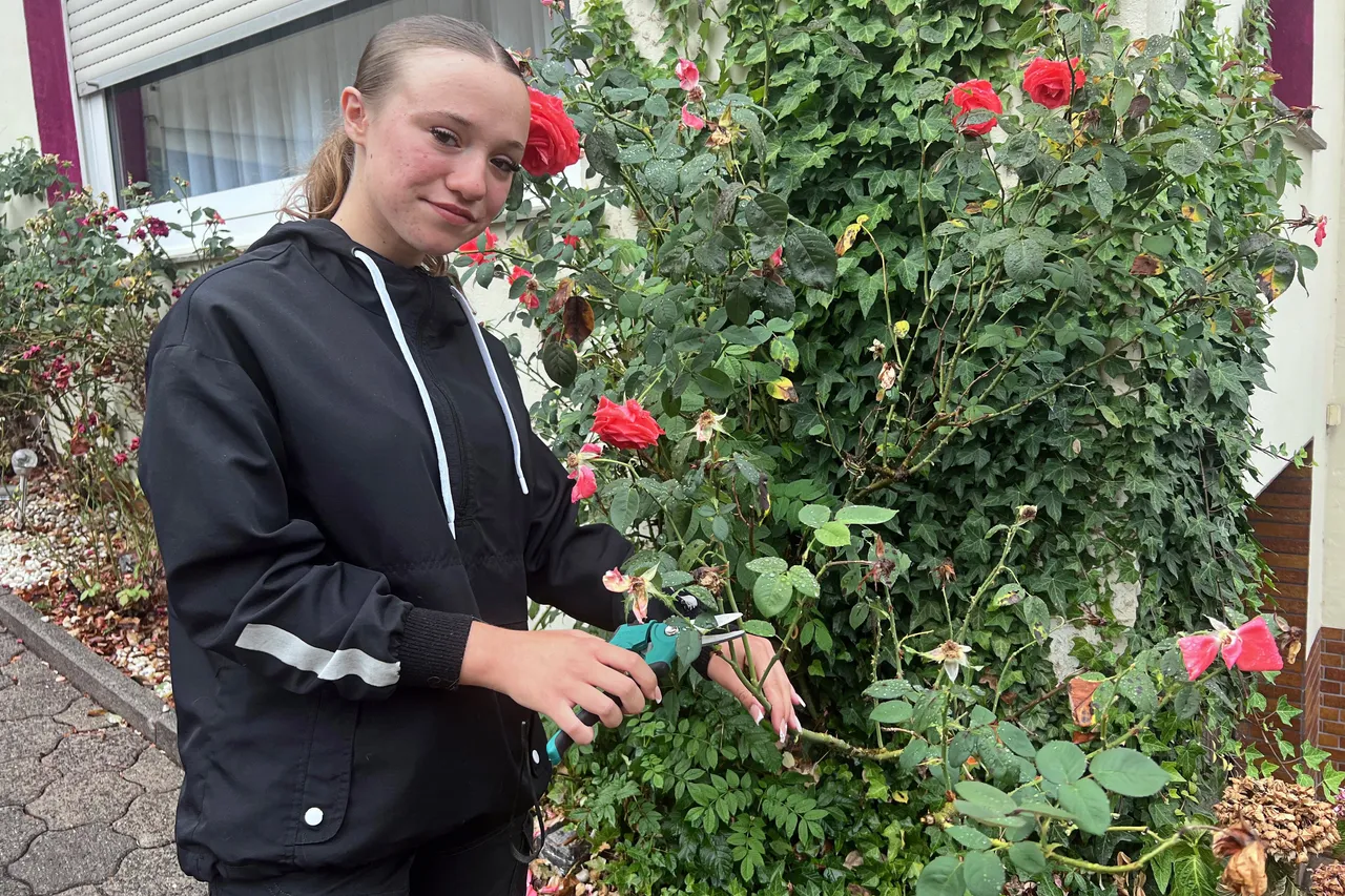 Eine junge Frau in einer schwarzen Jacke schneidet mit einer Gartenschere Rosen an einem Strauch.