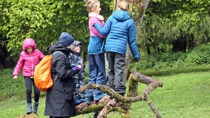 Eine Gruppe Kinder klettert auf einen Baumstamm in einem Wald, während ein Erwachsener mit Rucksack daneben steht.