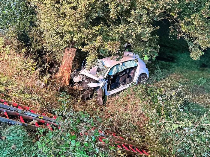 Ein weißer VW Golf mit stark beschädigter Front ist gegen einen Baum in einem bewachsenen Bereich gefahren.
