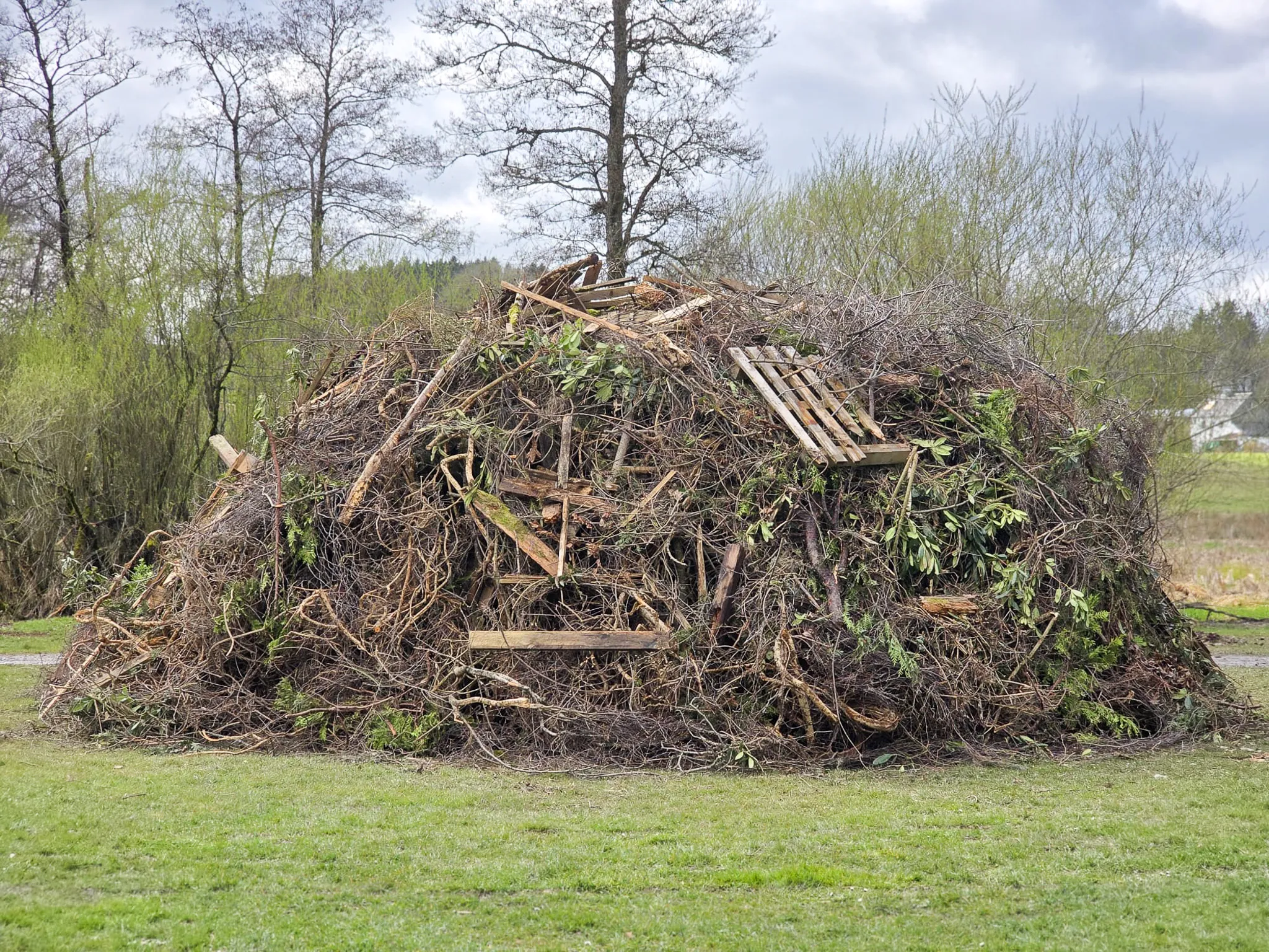Großer Haufen aus Ästen, Zweigen und Holzresten auf einer Wiese, im Hintergrund Bäume und ein bewölkter Himmel.