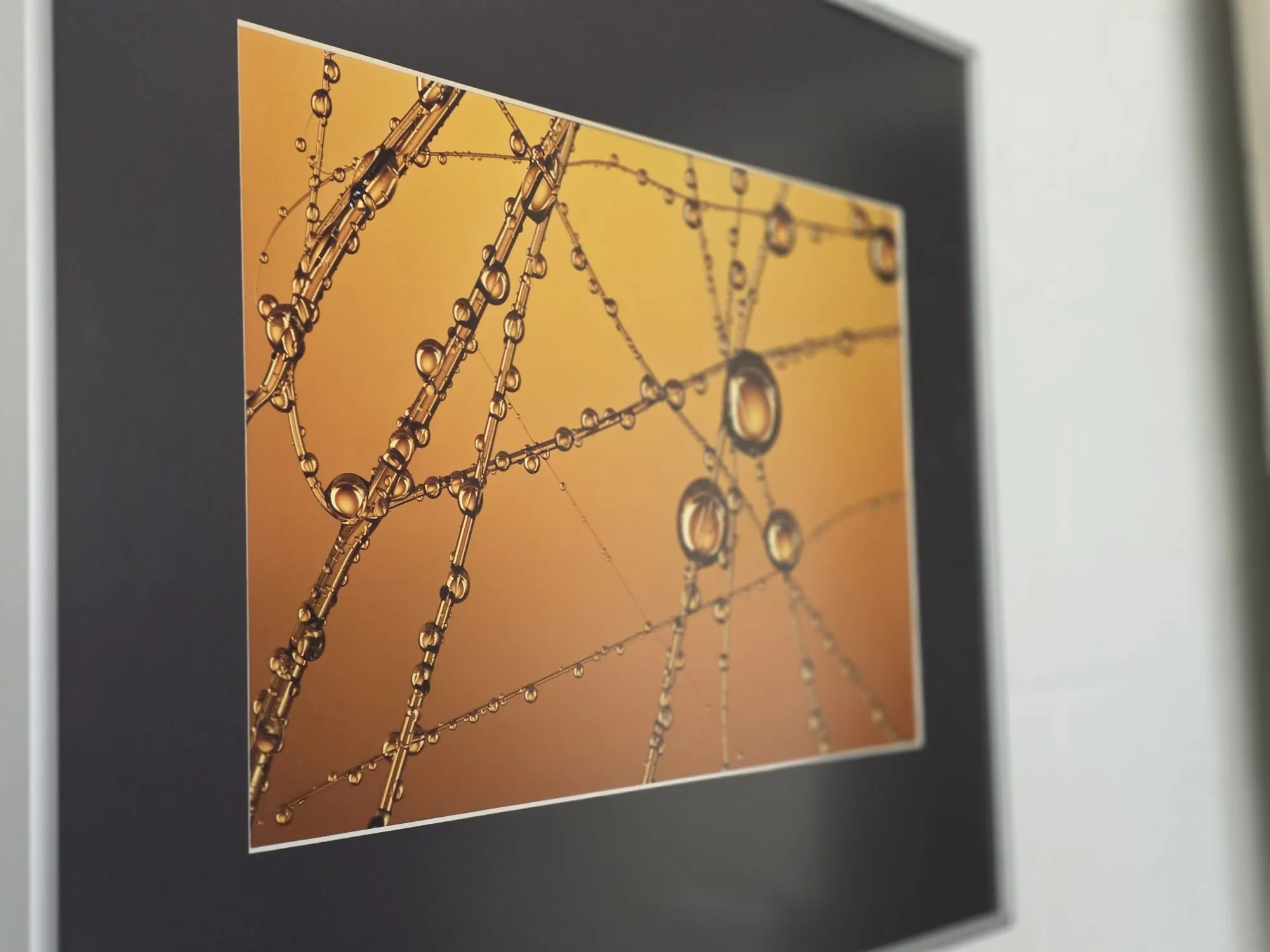 Nahaufnahme eines Spinnennetzes mit zahlreichen Wassertropfen, die wie Perlen daran hängen, vor einem warmen, orangefarbenen Hintergrund.