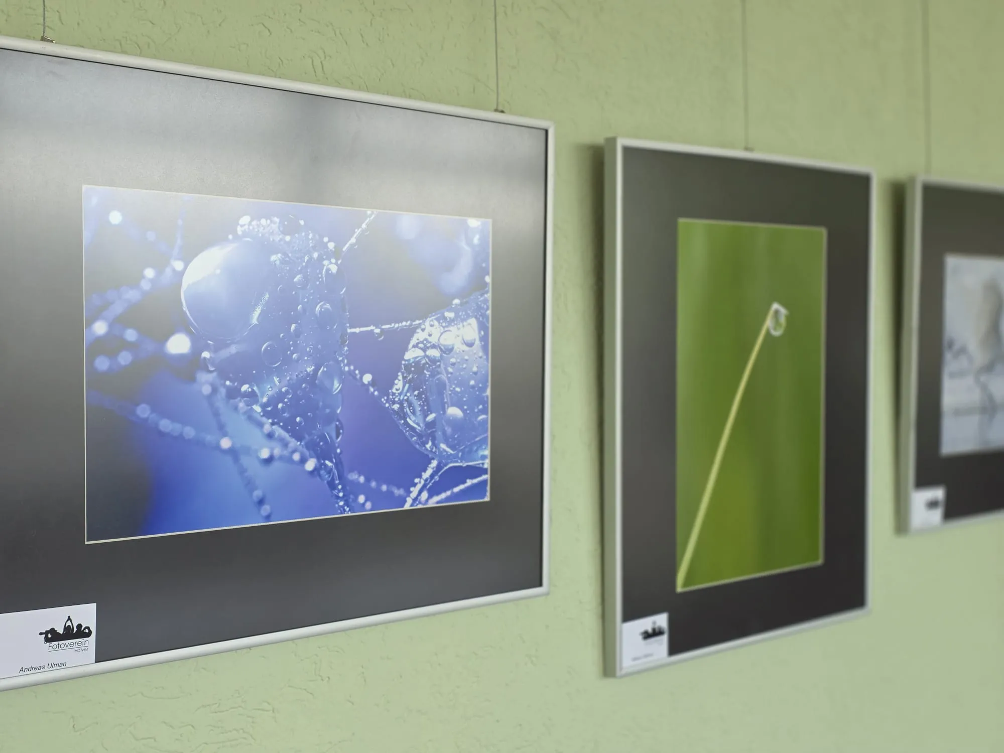 Drei gerahmte Fotografien hängen an einer hellen Wand. Das linke Bild zeigt Wassertropfen auf einer Spinne, das mittlere ist ein abstraktes grünes Bild und das rechte zeigt eine Landschaft.