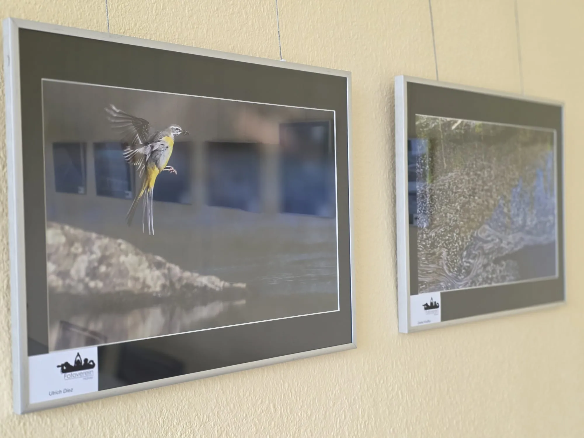 Zwei gerahmte Fotografien hängen an einer hellen Wand. Das linke Bild zeigt einen fliegenden Vogel über Wasser, das rechte eine verschwommene Aufnahme von Wasser und Vegetation.