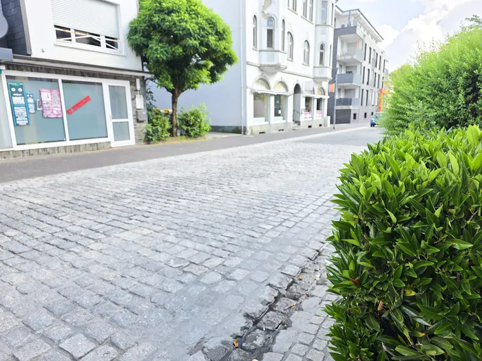 Eine gepflasterte Straße mit Geschäften und Bäumen entlang der Frankfurter Straße. Im Vordergrund ein grüßer Strauch.
