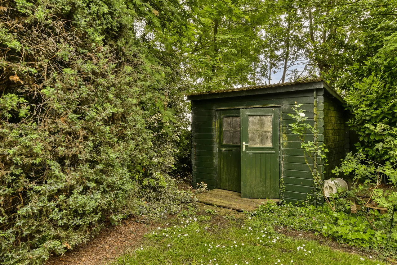 Eine kleine, dunkelgrüne Gartenhütte steht inmitten von dichtem Grün. Vor der Hütte befindet sich eine kleine Holztreppe.