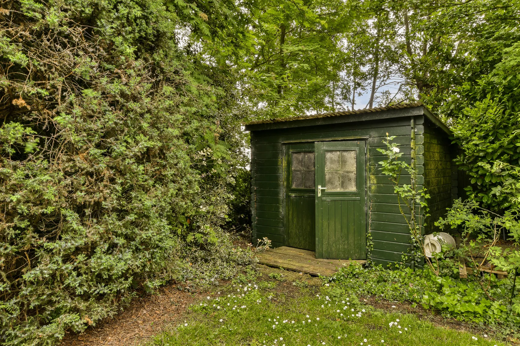 Eine kleine, dunkelgrüne Gartenhütte steht inmitten von dichtem Grün. Vor der Hütte befindet sich eine kleine Holztreppe.
