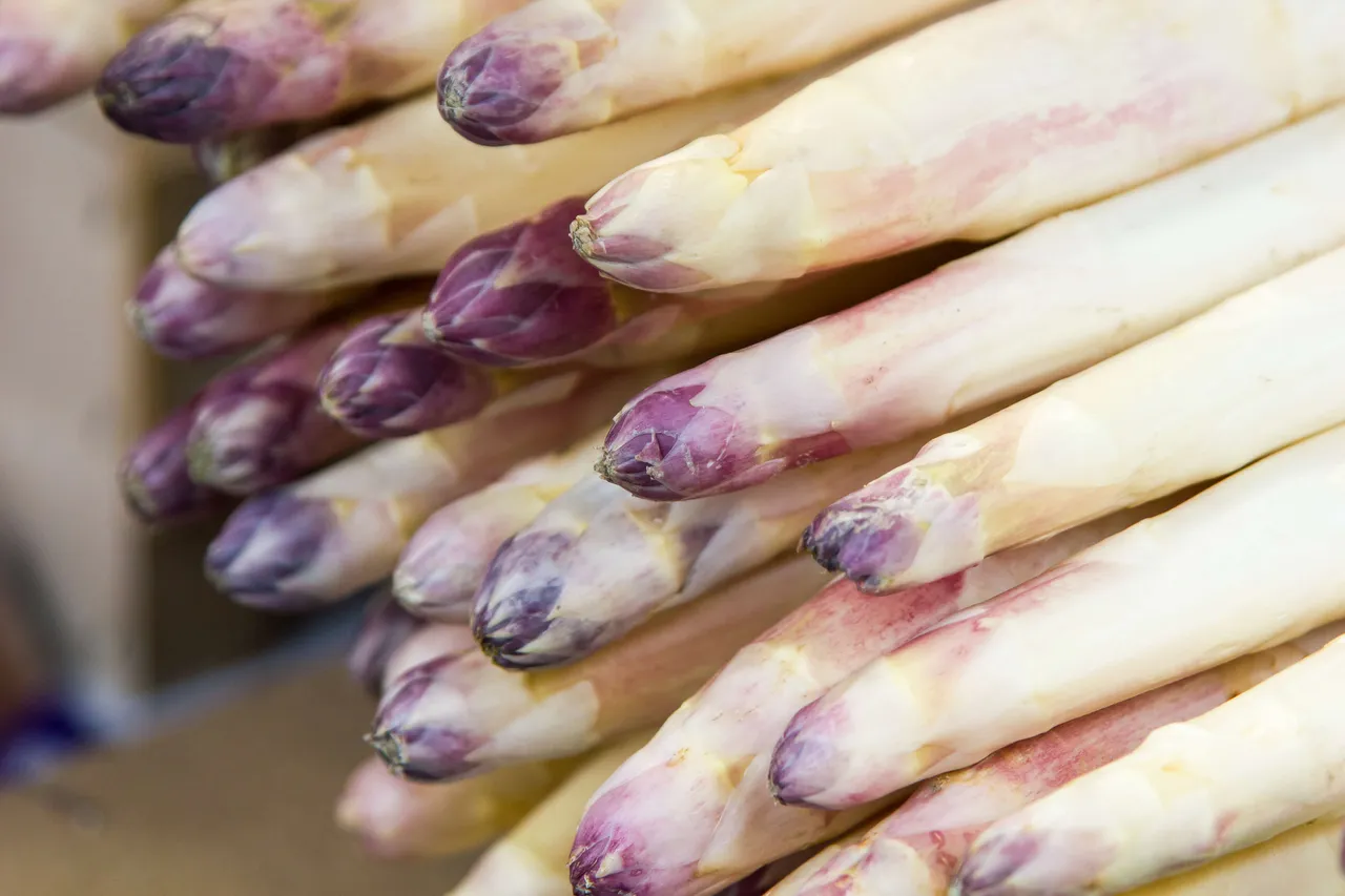 Ein Haufen weißer Spargel mit violetten Spitzen liegt dicht an dicht.