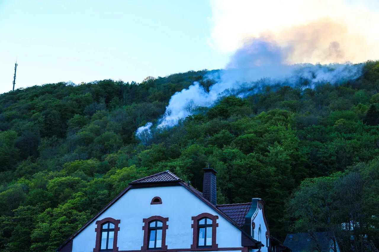 Rauch steigt über dichtem Wald auf, im Vordergrund ein rotdachiges Gebäude.
