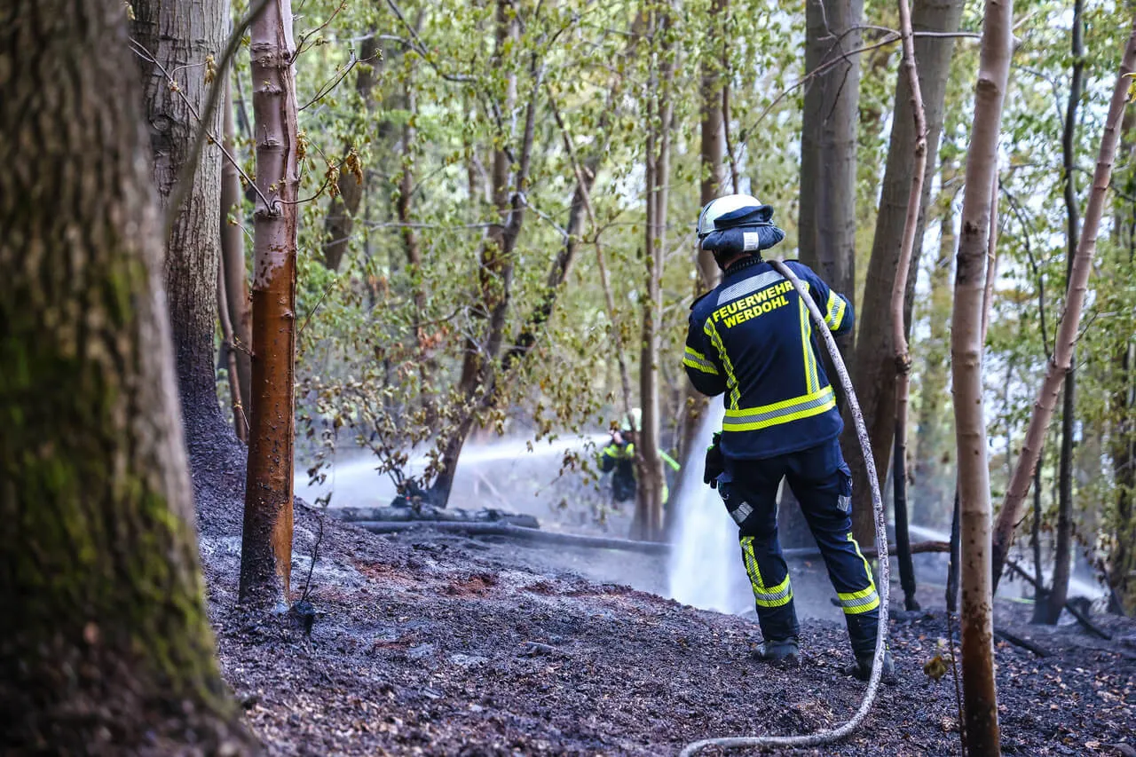 Feuerwehrmann löscht mit einem Schlauch einen Brand in einem verbrannten Wald. Im Hintergrund sind weitere Einsatzkräfte zu sehen.