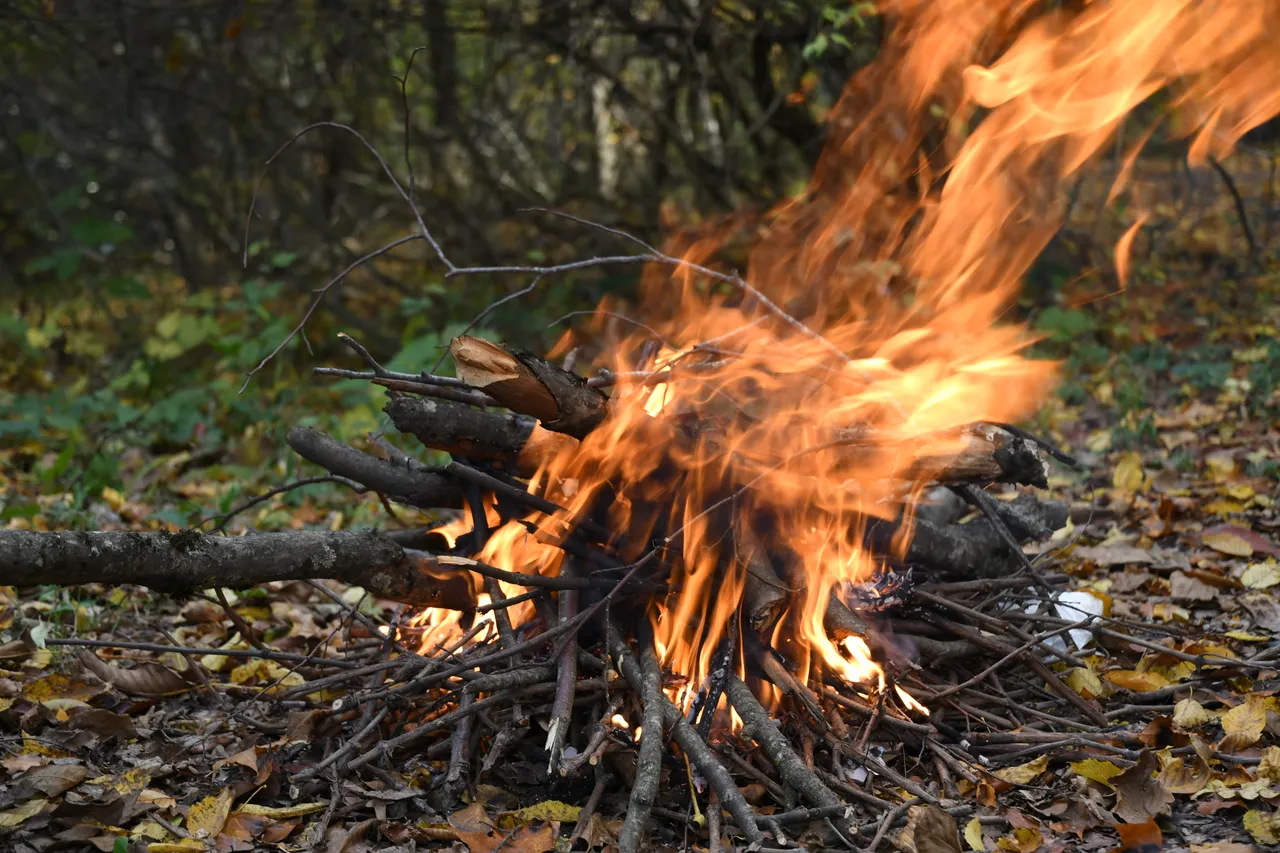 Ein hell brennendes Lagerfeuer aus Holzstücken und Ästen auf einem mit Herbstlaub bedeckten Waldboden.