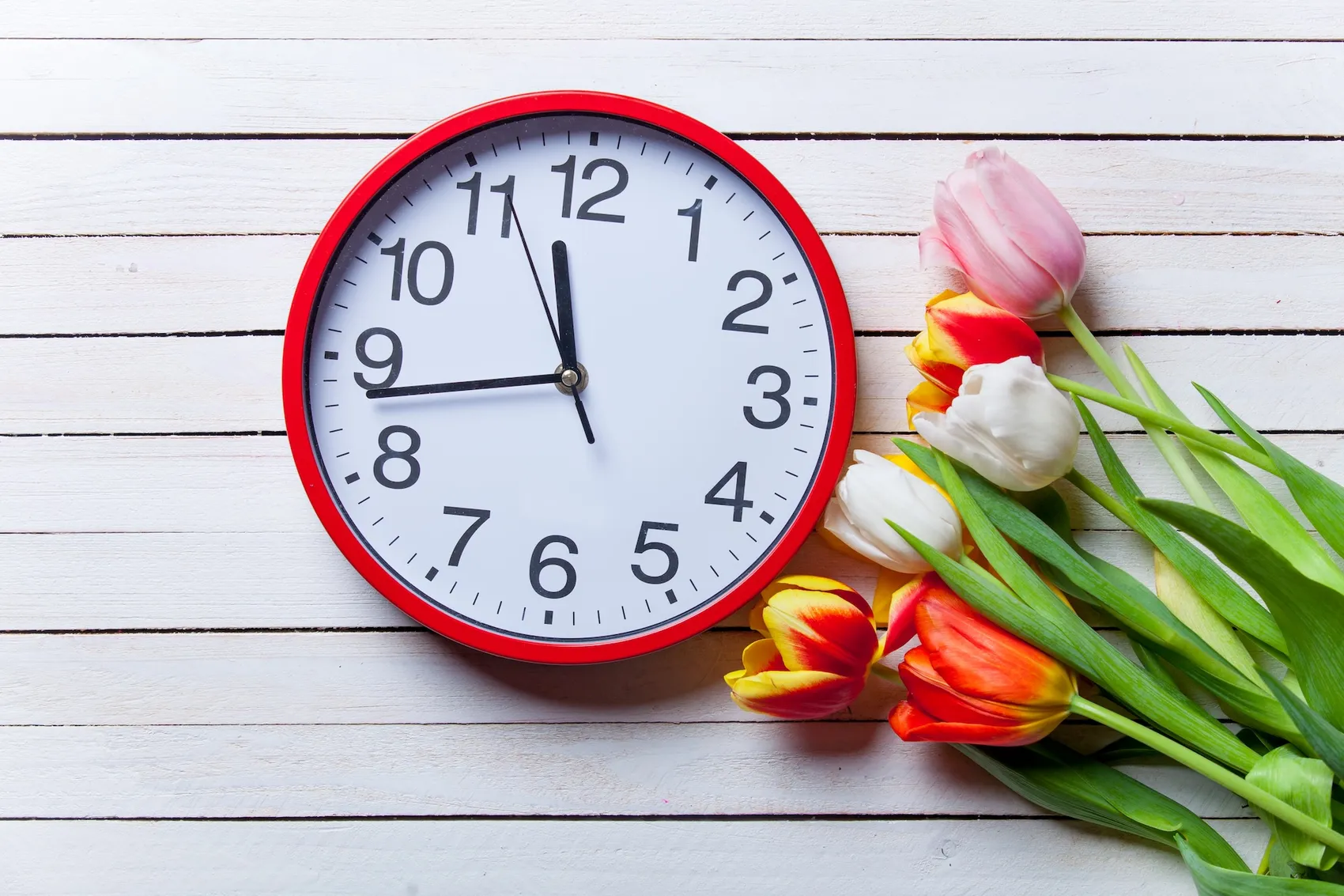 Rote Wanduhr zeigt 9:00 Uhr neben einem bunten Tulpenstrauß auf weißem Untergrund.