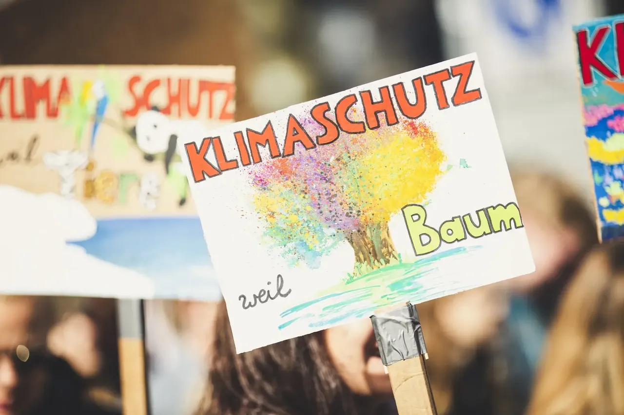 Handgehaltenes Schild mit der Aufschrift „KLIMASCHUTZ“ und einer farbenfrohen Baumillustration. Darunter steht „weil Baum“.