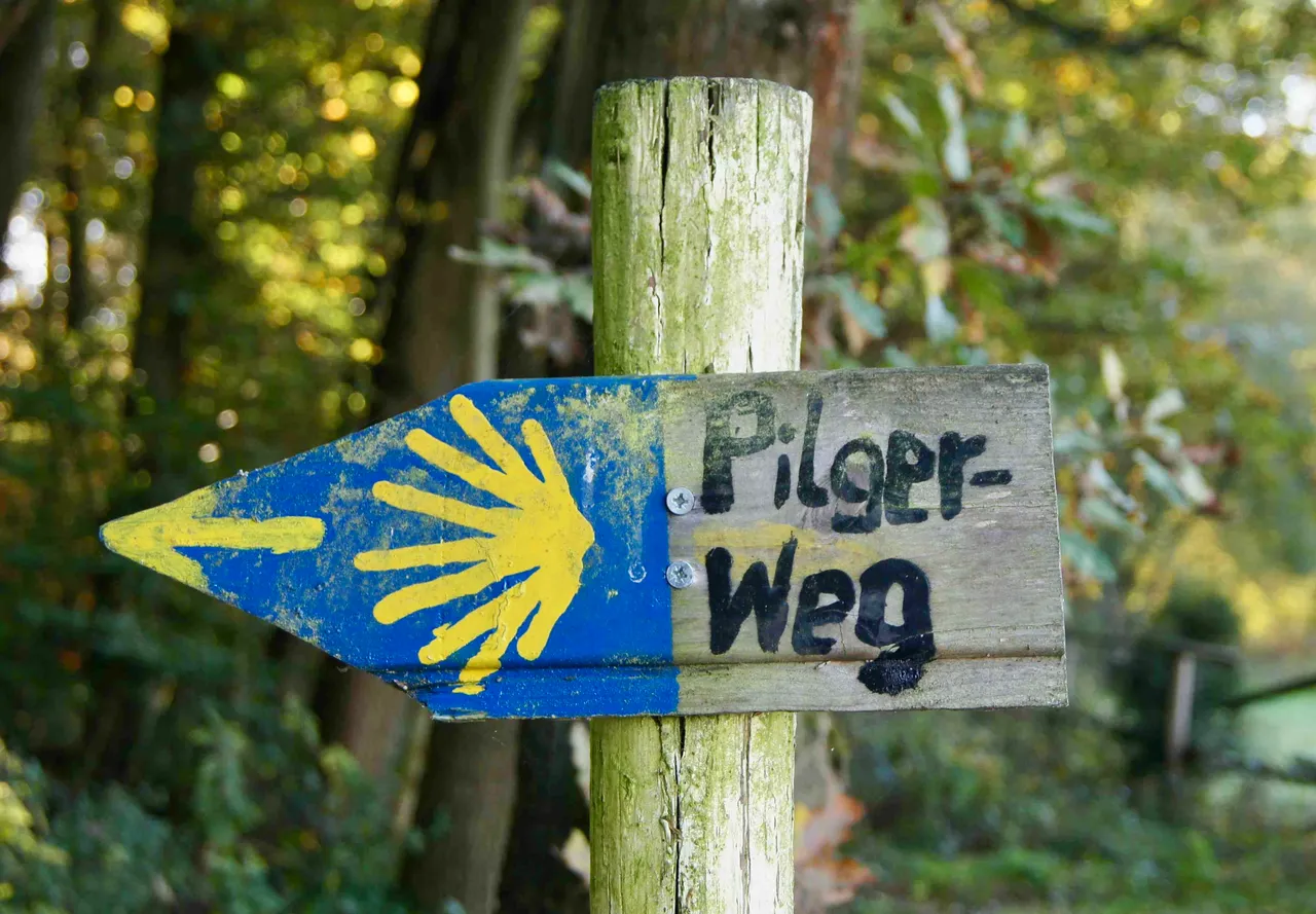Holzschild mit blauem Pfeil und gelber Muschel weist auf den Pilgerweg.