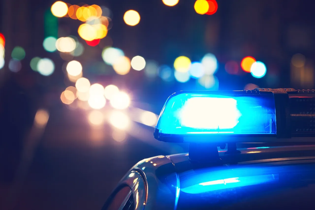 Blaulicht auf einem Polizeiauto vor verschwommenem Stadtverkehr in der Nacht.