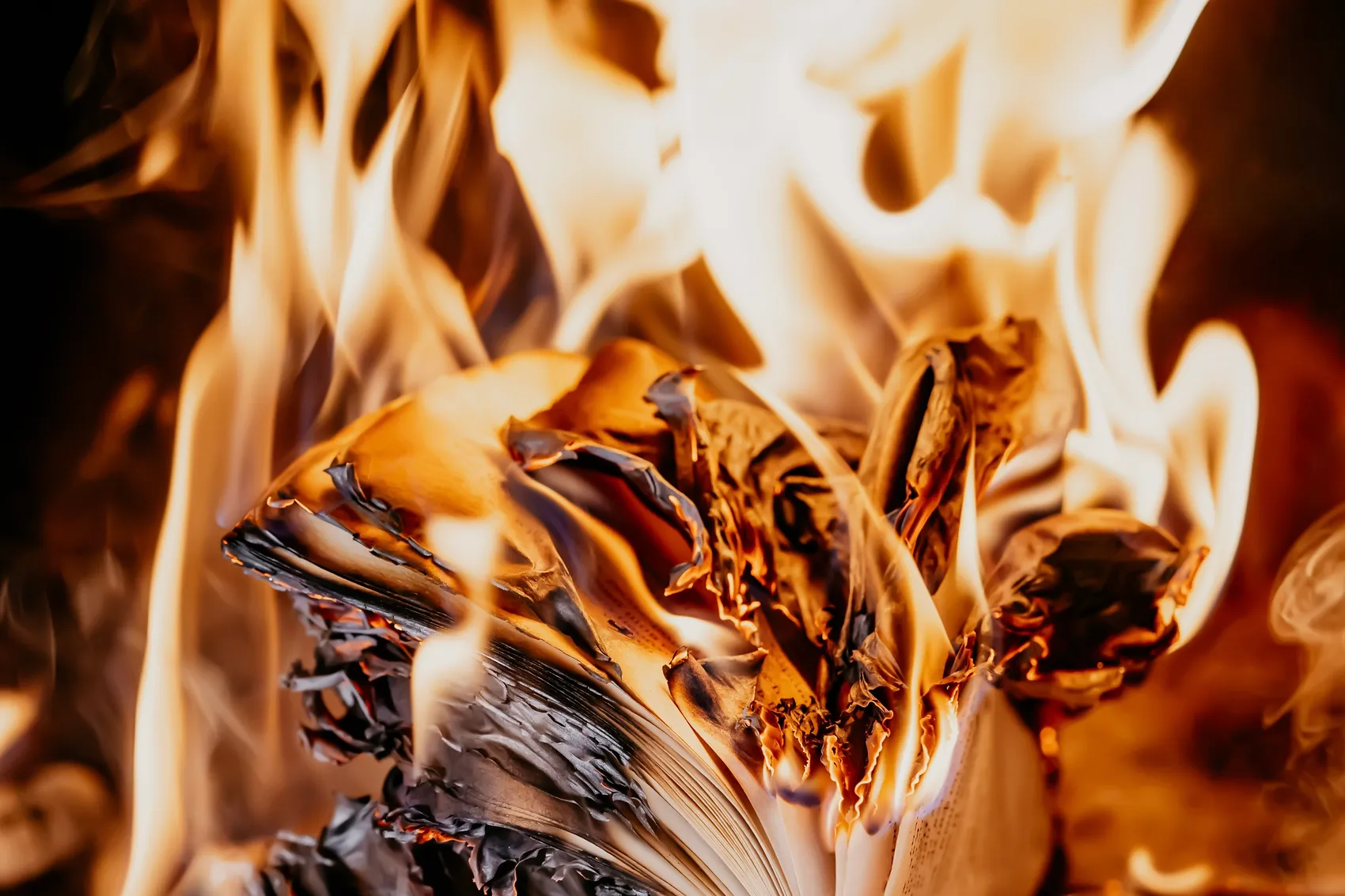 Ein brennendes Buch, dessen Seiten von lodernden Flammen verzehrt werden.