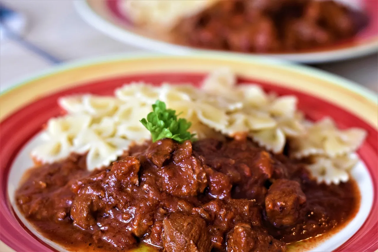 Gulasch mit Farfalle-Nudeln auf einem roten Teller mit gelbem Rand, garniert mit Petersilie.