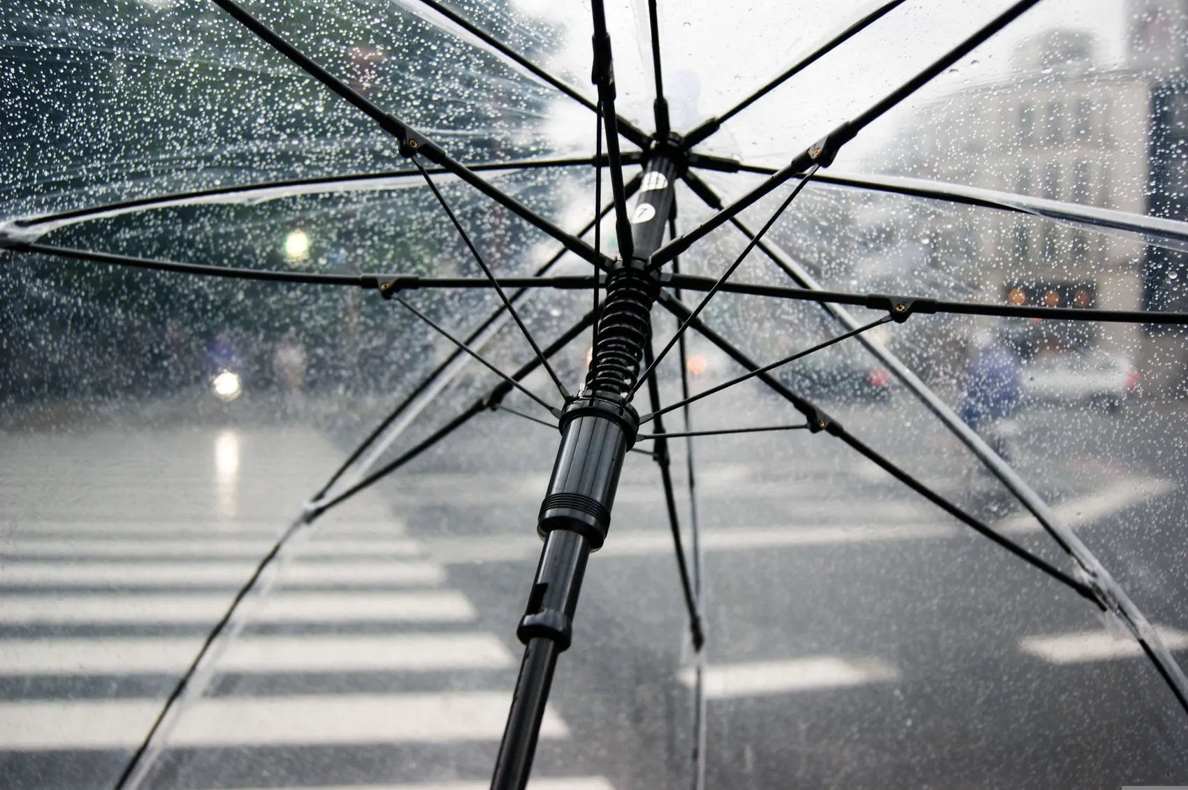 Blick unter einen transparenten, nassen Regenschirm auf eine regnerische Straße mit Zebrastreifen.