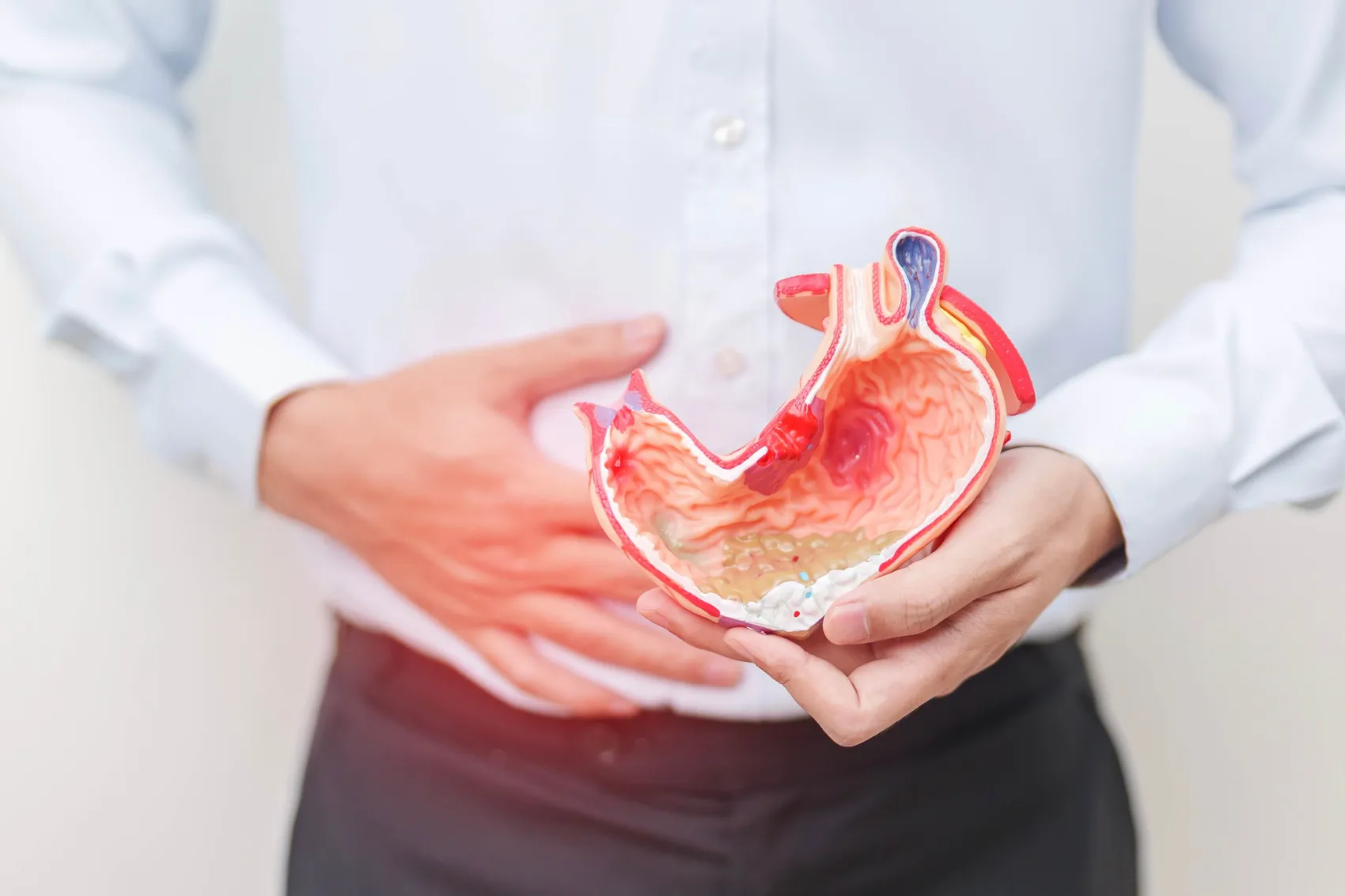 Eine Person hält ein anatomisches Modell eines Magens und hält sich mit der anderen Hand den Bauch.