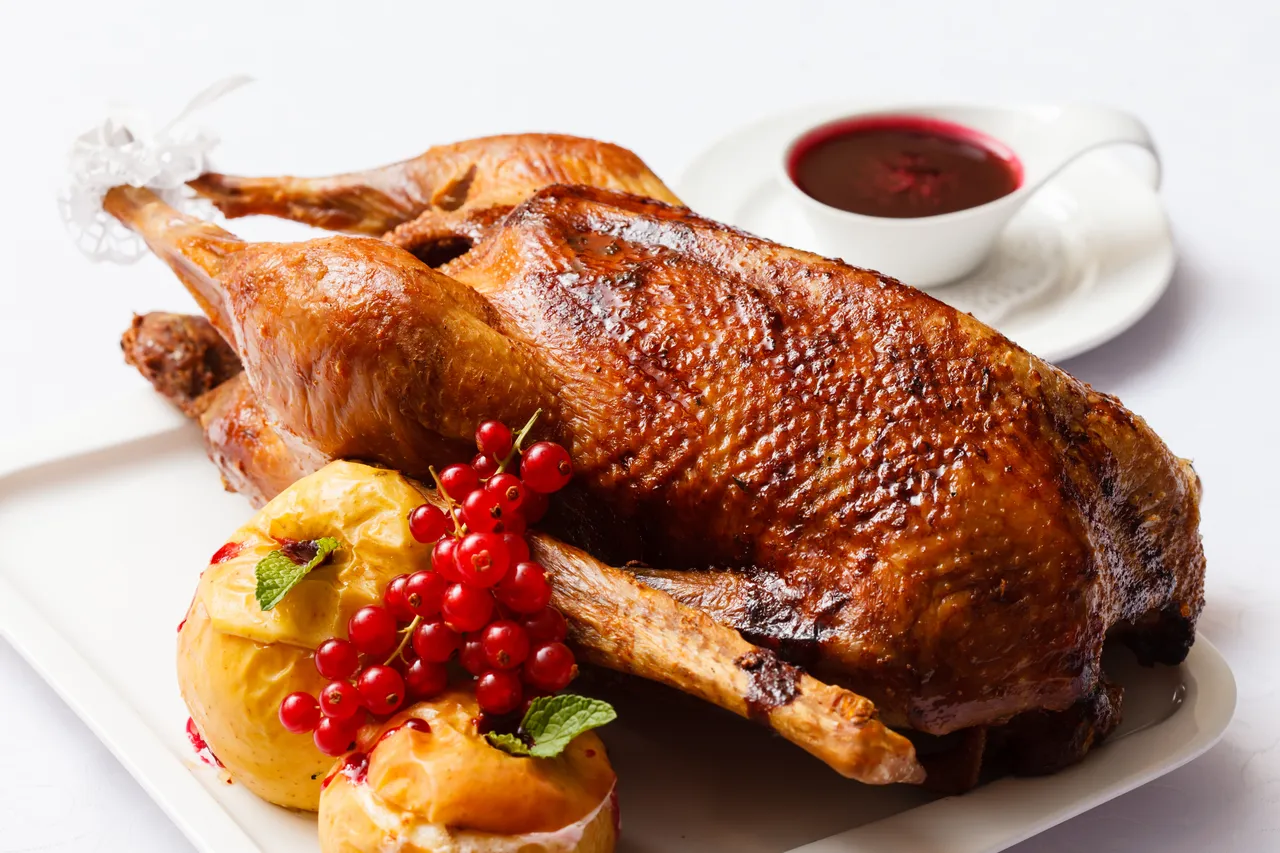 Gebratene Gans mit roten Johannisbeeren und einer Schale roter Sauce auf einem weißen Teller.