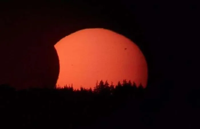 Eine rötliche, teilweise durch den Mond verdeckte Sonne über der Silhouette eines Waldes.