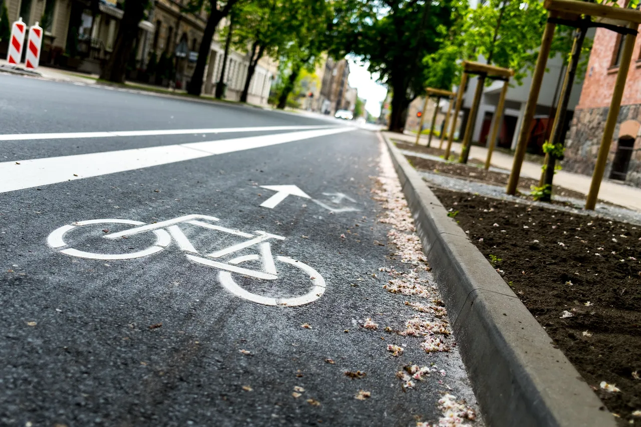 Ein frisch markierter Radweg mit einem weißen Fahrradsymbol und Pfeil ist auf einer Straße zu sehen. Am Straßenrand befinden sich frisch bepflanzte Bäume.