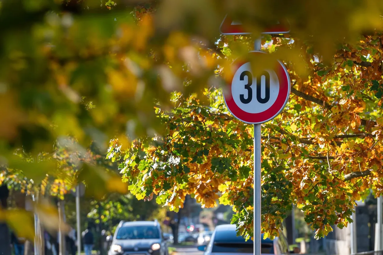 Ein rundes Verkehrszeichen mit der Zahl 30 in einem roten Rahmen, umgeben von herbstlichen gelben und orangefarbenen Blättern.