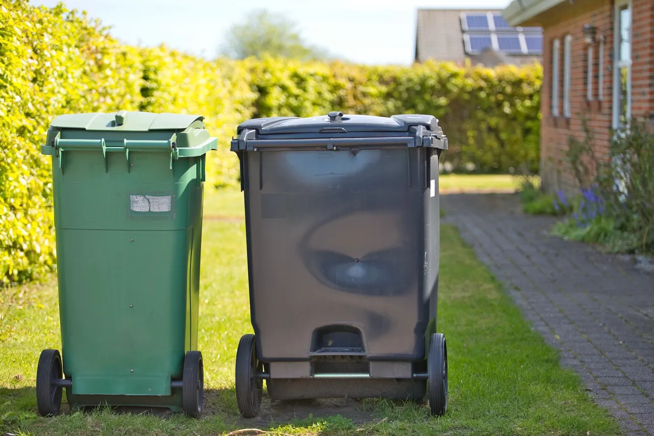 Grüne und schwarze Mülltonne stehen nebeneinander auf einem Rasen vor einem Haus mit Solarpanelen.